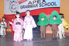 appex-grammar-school-a-show-of-traditions-image-6
