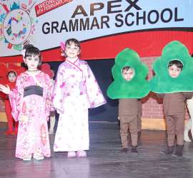 appex-grammar-school-a-show-of-traditions-image-6
